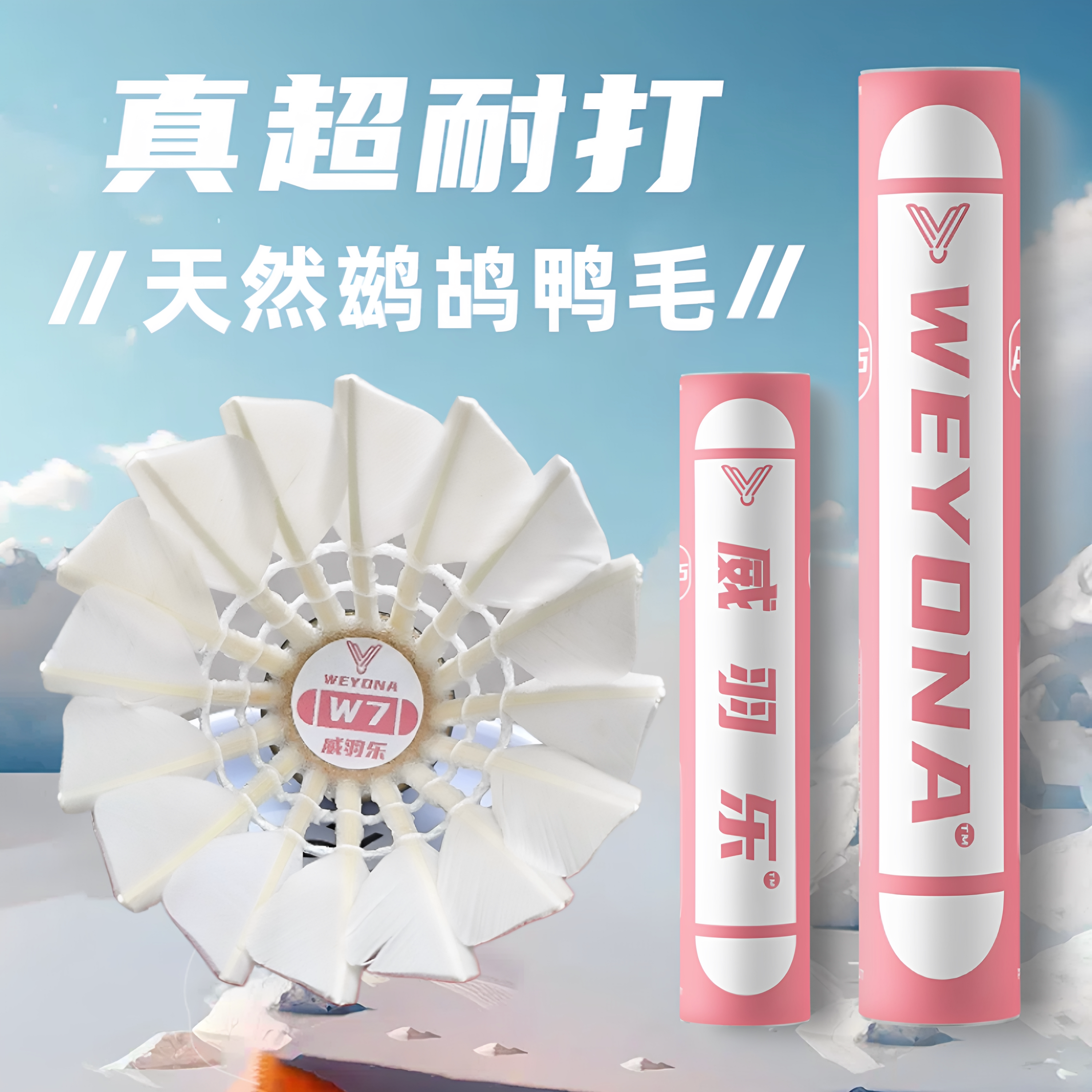 威羽乐正品超耐打天然羽毛球鸭毛球飞行稳定学生俱乐部训练专用款