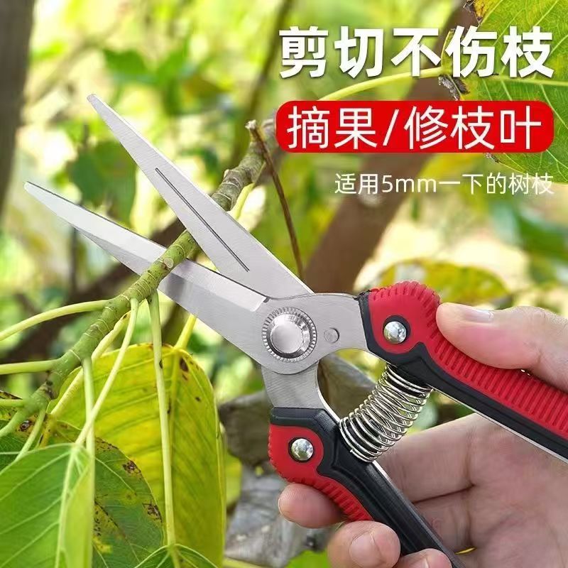 果树剪树枝剪修枝剪弹簧剪子图片