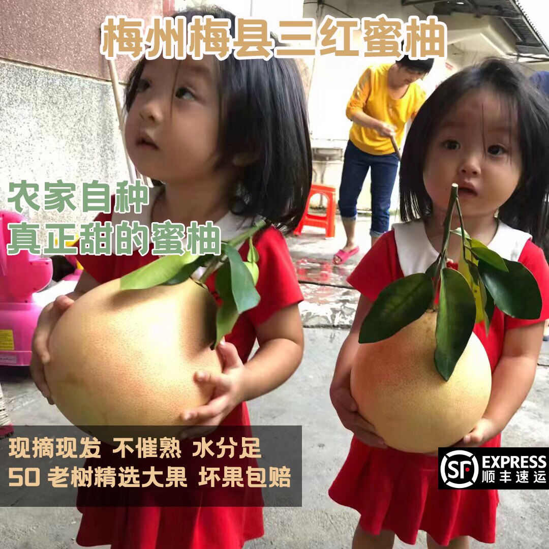 红心柚子三红柚梅州蜜柚孕妇水果