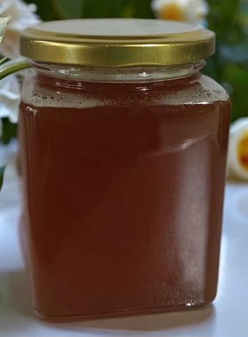 野生土蜂蜜秦岭中华蜂百花蜂蜜