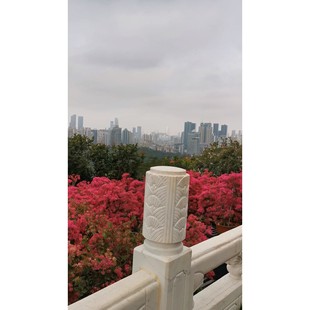 拆机 原装 好CPU 主频1询价 9400T低功耗节能CPU 议价产品