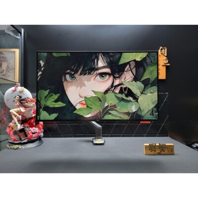 【议价产品】AOC Q27U2D显示器 27寸2K IPS显示器+支架询价