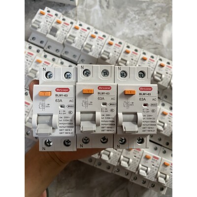 【议价产品】北元电器—Bevone—BLM1-63系列电磁式小型漏电保护(