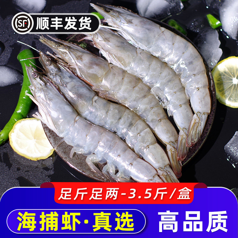 大虾鲜活速冻青岛海捕白对虾2030