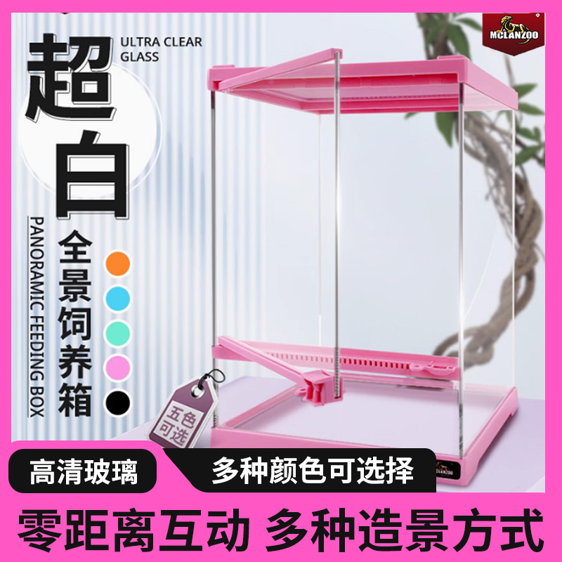 魅族MCLANZOO爬宠雨林缸守宫饲养箱蜥蜴睫角角蛙寄居蟹蜘蛛