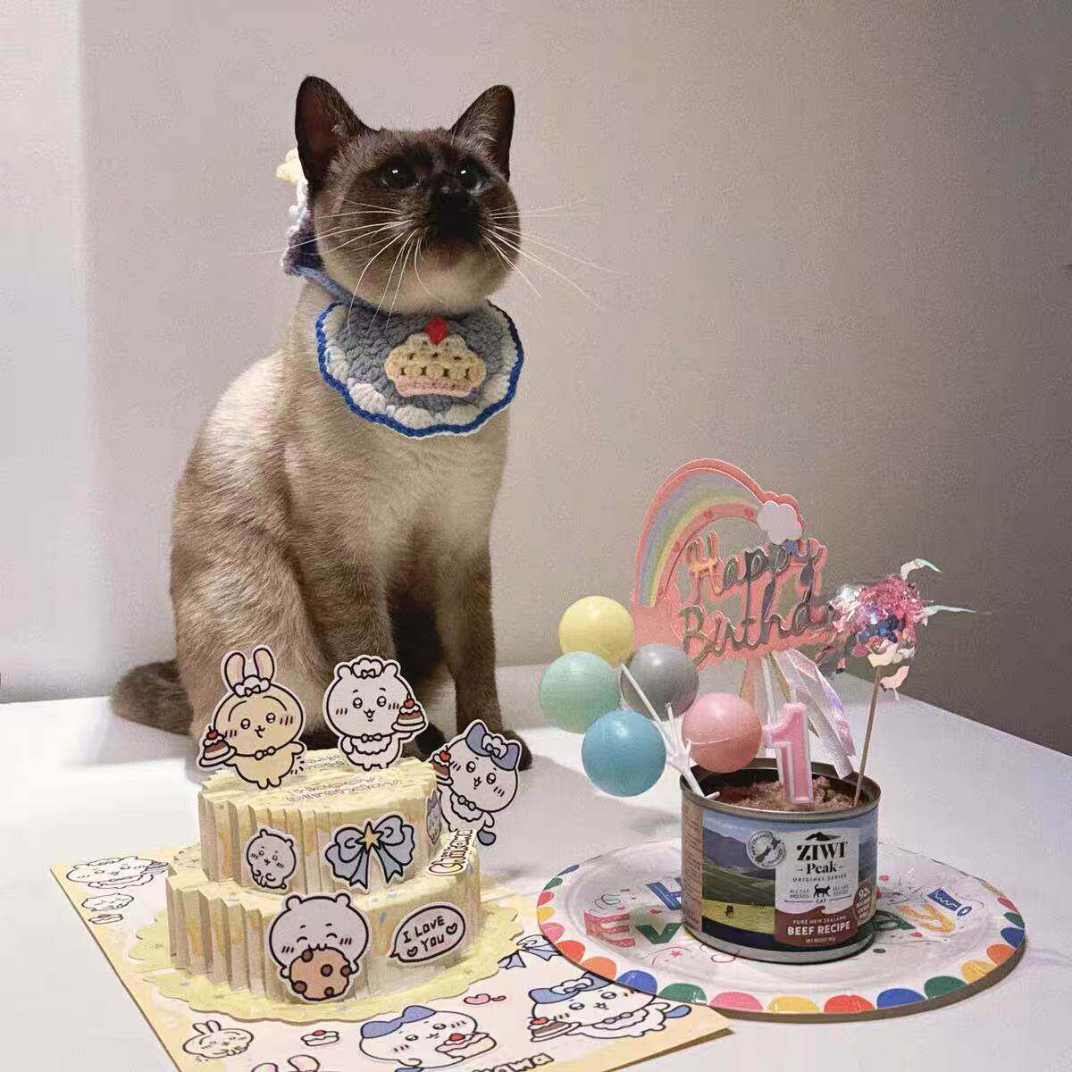 宠物罐头生日蛋糕装饰插件