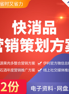 快消品营销策划方案汇源果肉多营销整合火石酒年度营销推广线上社