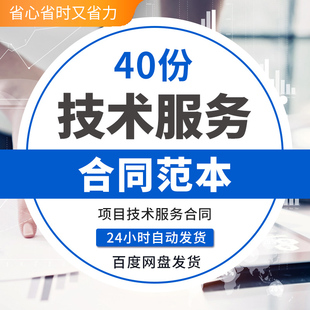 互联网络科技公司软件外包网站建设项目技术咨询服务合同范本模板