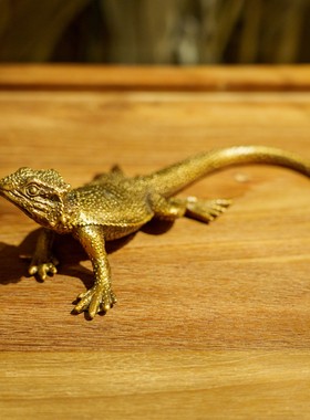 创意黄铜金色蜥蜴摆件样板房家居客厅办公室桌面装饰工艺品C1984