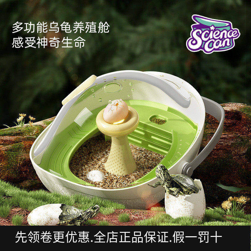 乌龟专用缸孵化舱套装爬台晒台养动物器材小学生实验乌龟蛋孵化