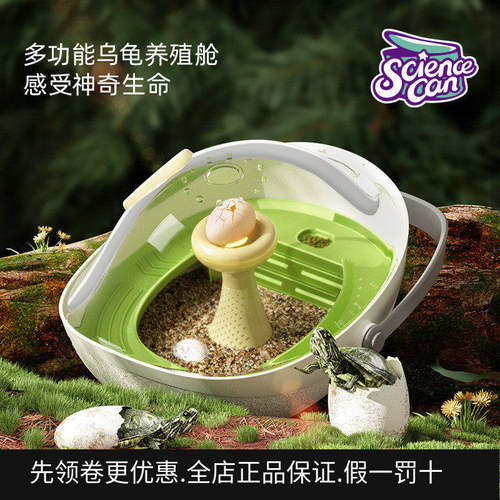 乌龟专用缸孵化舱套装爬台晒台养动物器材小学生实验乌龟蛋孵化