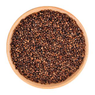 苏紫堂 盐益智仁250g中药饮片正品中药材广东