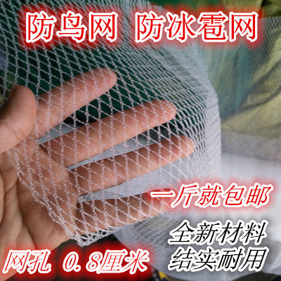 防鸟网冰包网葡萄果园樱桃树网鱼塘冰雹网葡萄养殖网 防护网|msdalam kategori penghantaran bunga/bunga simulasi/tumbuhan berkebun, Gardening Supplies, Peralatan Perkebunan lain - dari Buy2taobao.com untuk memberikan perkhidmatan ejen Taobao profesional membeli