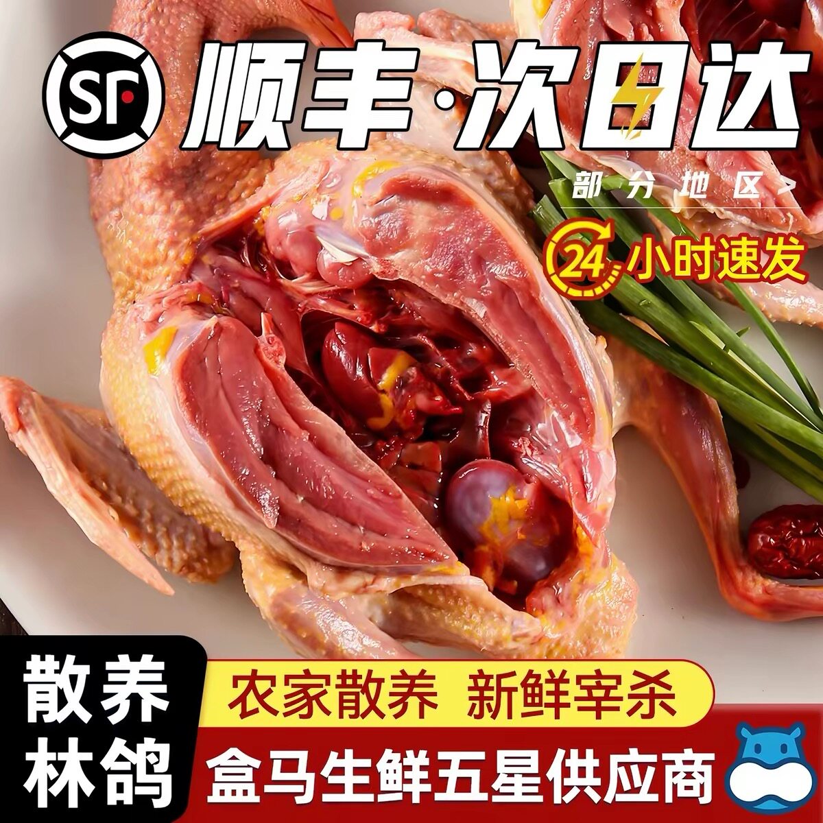 鸽子新鲜乳鸽子炖煲汤农家散养土鸽子鲜活肉生鲜冷冻老鸽子活鸽子