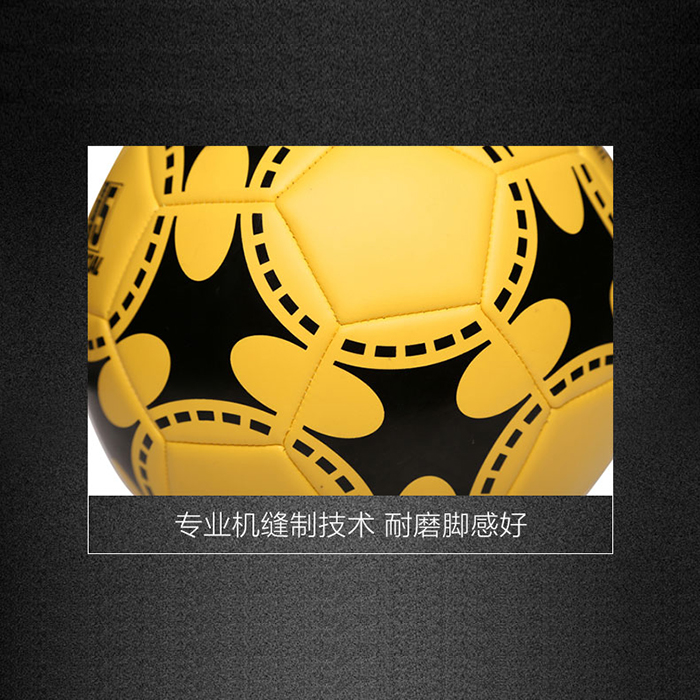 Ballon de football - Ref 7486 Image 4
