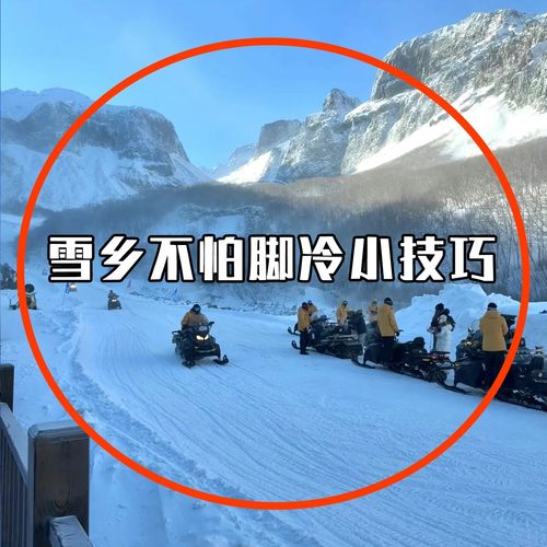 哈尔滨旅游必备防寒装备暖脚足贴