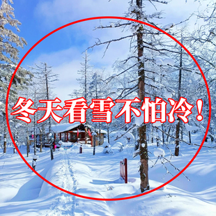 备防雾擦镜片湿巾旅行洗漱套装 冬天看雪不怕冷 哈尔滨旅游必备装