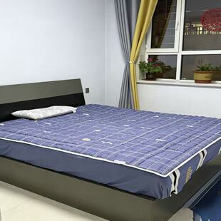 荞麦皮褥子成人学生单双人折叠床褥苦荞壳褥子床垫凉席榻榻米垫子