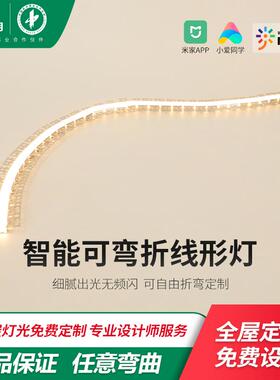 雷士照明LED灯带任意弧形线型灯预埋线形灯圆弧形嵌入式折弯铝槽