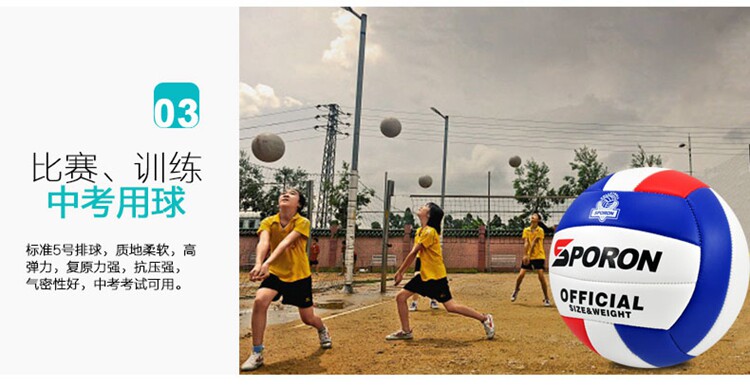 Ballon de volley-ball - Ref 2013027 Image 3