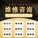 乐器咨询大小提琴换弓毛换音柱 琴头断裂一对一视频讲解 补漆