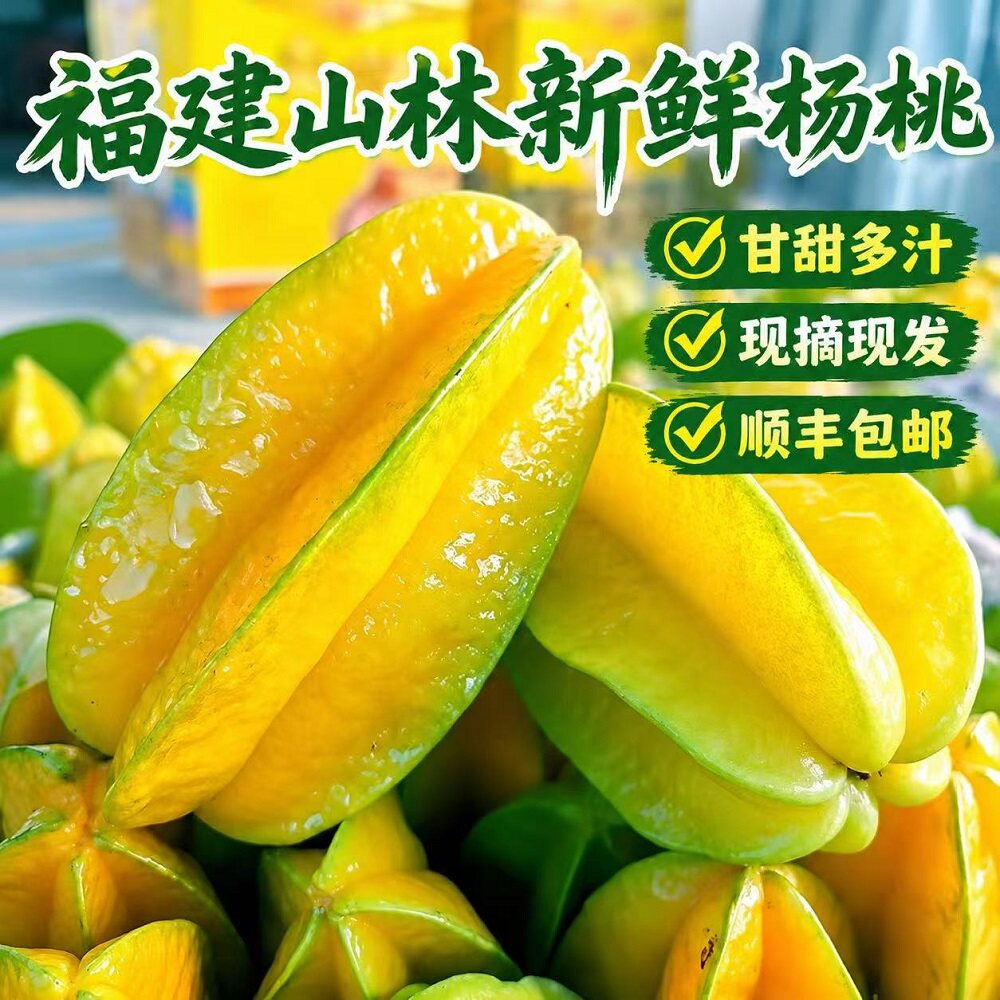漳州杨桃鲜甜多汁现摘现发图片