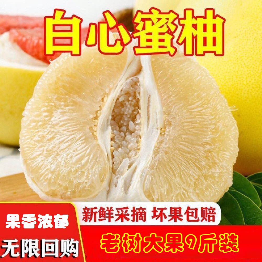 【极致实惠】福建白心蜜柚经典柚子果香浓郁当季水果老树果9斤装