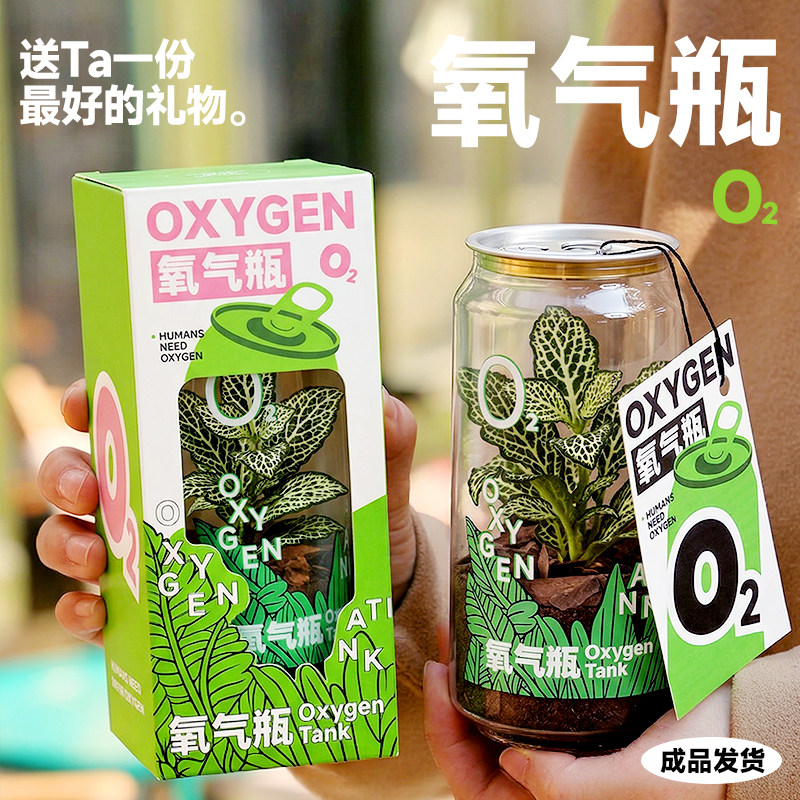 氧气瓶绿植创意景观办公室桌面神奇植物小盆栽地球日伴手生日礼物