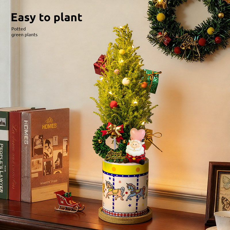 香松圣诞树绿植桌面圣诞装饰礼物