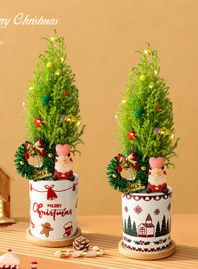 香松盆栽圣诞树客厅圣诞装饰摆件植物办公室桌面绿植好养花卉送礼