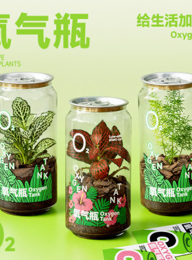 氧气瓶桌面景观绿植女生生日礼物