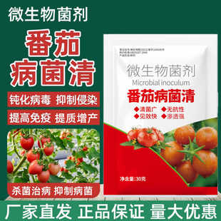 番茄病专用番茄早晚疫病番茄灰霉病青枯病番茄预防治疗番茄病菌清