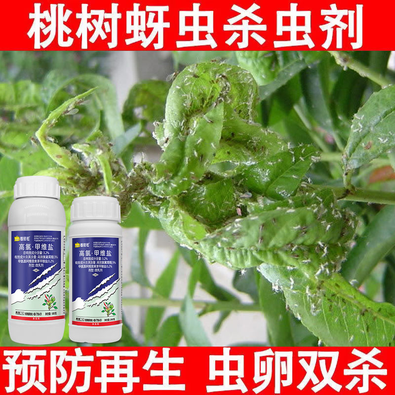 梨树专用药食心虫介蚧壳