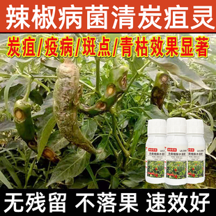 辣椒专用药辣炭疽病枯萎病烂果病青枯斑点病病毒病白病粉辣椒农药