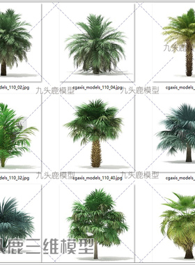 maya 3Dmax c4d blend ue4三维写实70款棕榈树植物模型素材带贴图