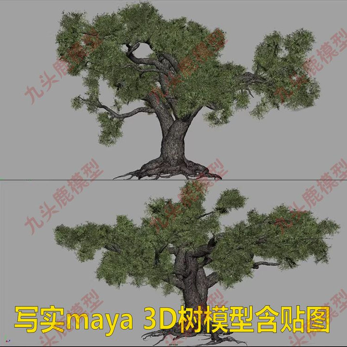 写实3D大树三维模型设计素材源文件 OBJ 带贴图 法线 等材质