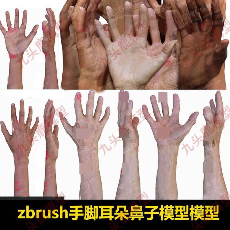zbrush耳朵鼻子手脚模型ZTL格式模型OBJ通用模型高精度贴图手模型