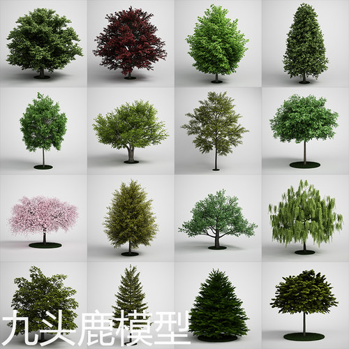20棵写实三维树木植物模型素材源文件maya 3Dmax unity blender