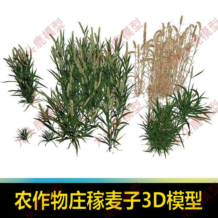 庄稼农作物麦子小麦植物三维模型素材C4D FBX STL OBJ SU Blender