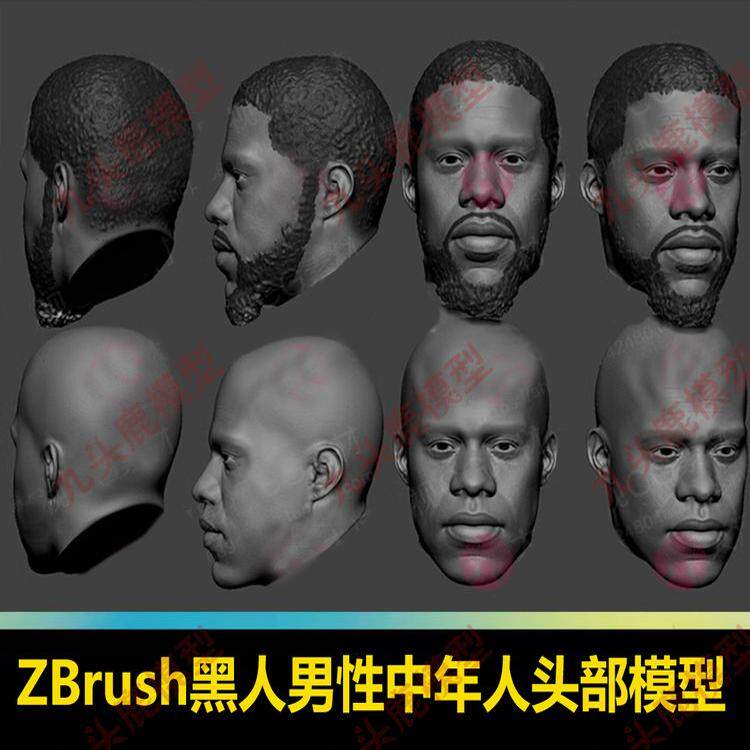 ZBrush男性中年人头部模型OBJ黑人脸部头像三维模型快速雕刻ZTL