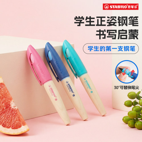 六一儿童节礼盒正姿钢笔学生专用