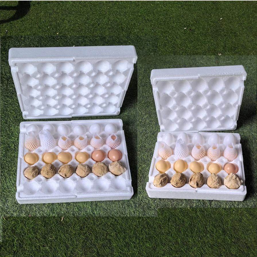 快递鸡蛋鸭蛋变蛋泡沫包装盒加厚加硬免纸箱防震抗压包装泡沫箱,户外/登山/野营/旅行用品,野餐篮/鸡蛋蓝/食品袋,淘宝优惠券,粉丝福利购,淘宝优惠卷