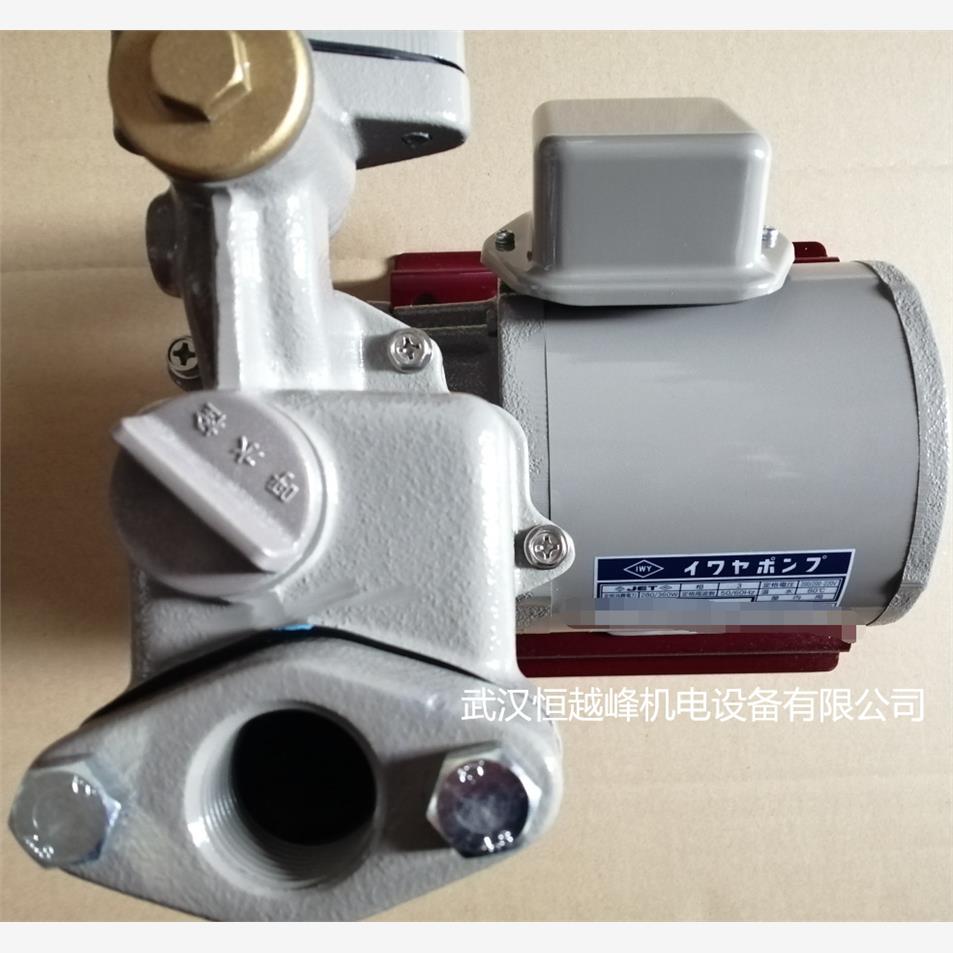 25UT075S水泵日本iwaya岩