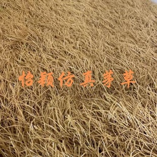 仿真茅草隔热塑料毛草屋顶走廊木屋农家乐户外景区庭院地毯式茅草
