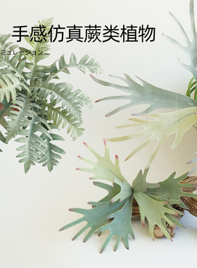 仿真蕨类把束叶子植物绿植墙婚庆装饰仿真花草波斯草假树叶绿色