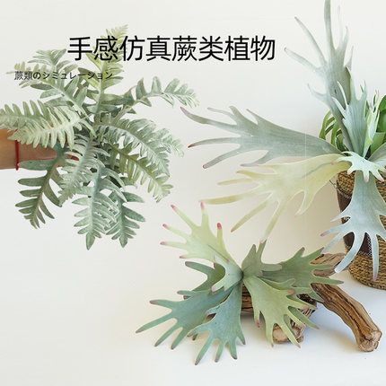 仿真蕨类把束叶子植物绿植墙婚庆装饰仿真花草波斯草假树叶绿色