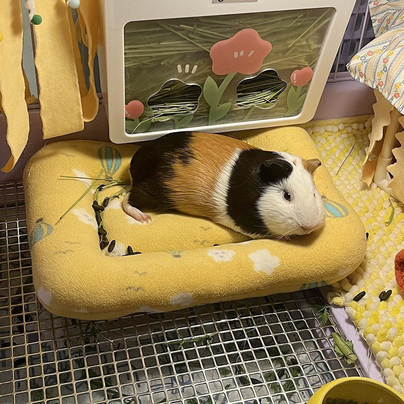 仓鼠过冬窝荷兰猪棉窝睡垫加厚柔软舒适保暖垫金丝熊小宠睡觉垫子