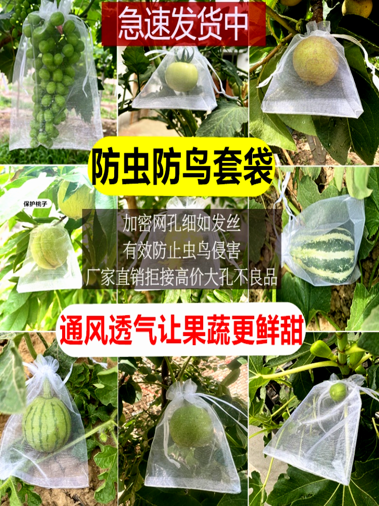 杨梅果树防虫防鸟网罩番石榴草莓保护袋蓝莓莲雾花卉绿植透气套袋