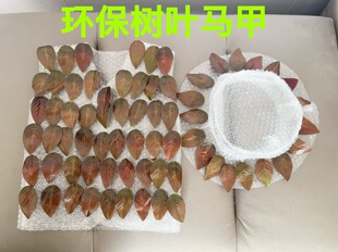 环保时装秀服装环保树叶衣服亲子走秀表演服手工DIY自制树叶衣服