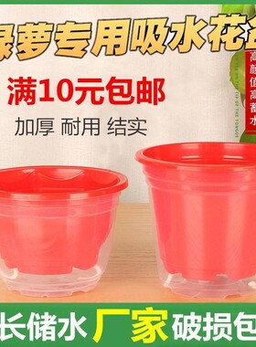 绿箩专用塑料储水懒人盆 透明白色新款自动吸水花盆